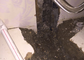 凤阳卫生间测漏水哪家好
